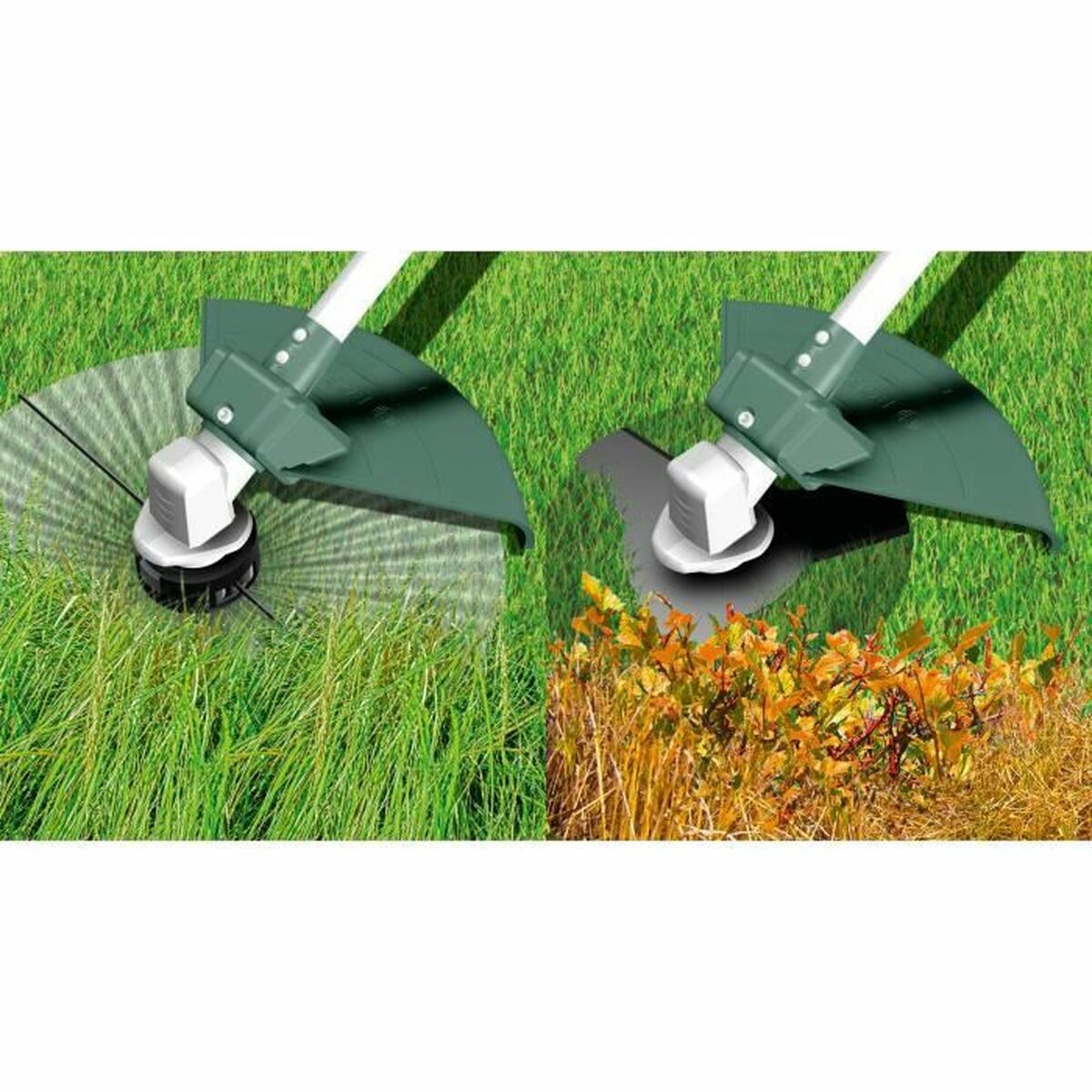 Texte alternatif de l'image