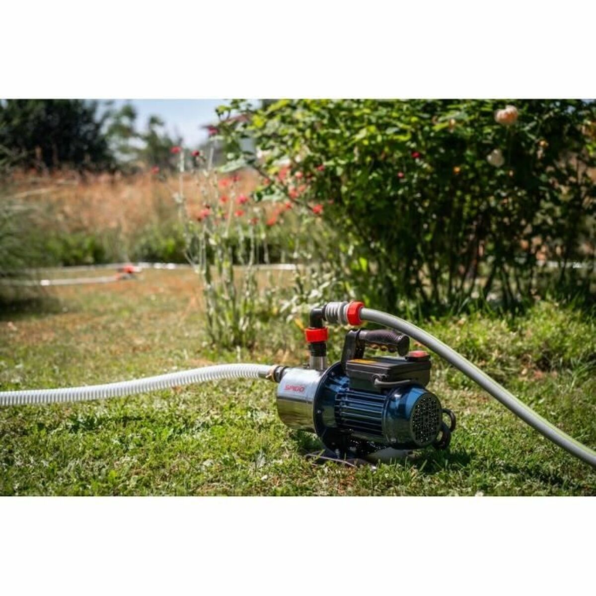 Texte alternatif de l'image