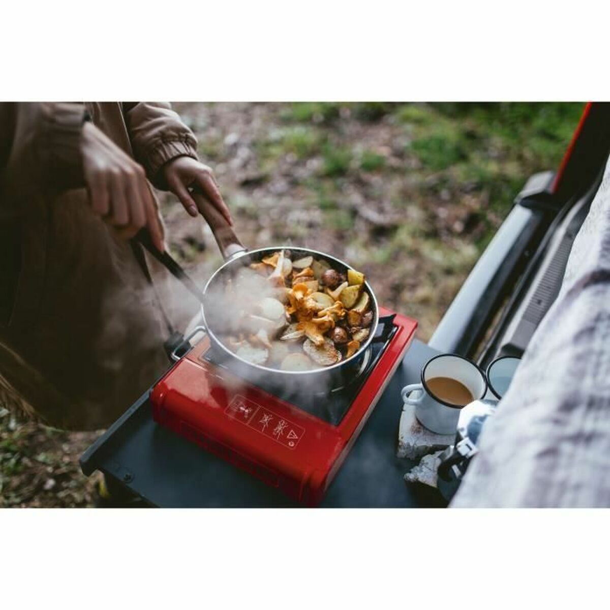 Texte alternatif de l'image