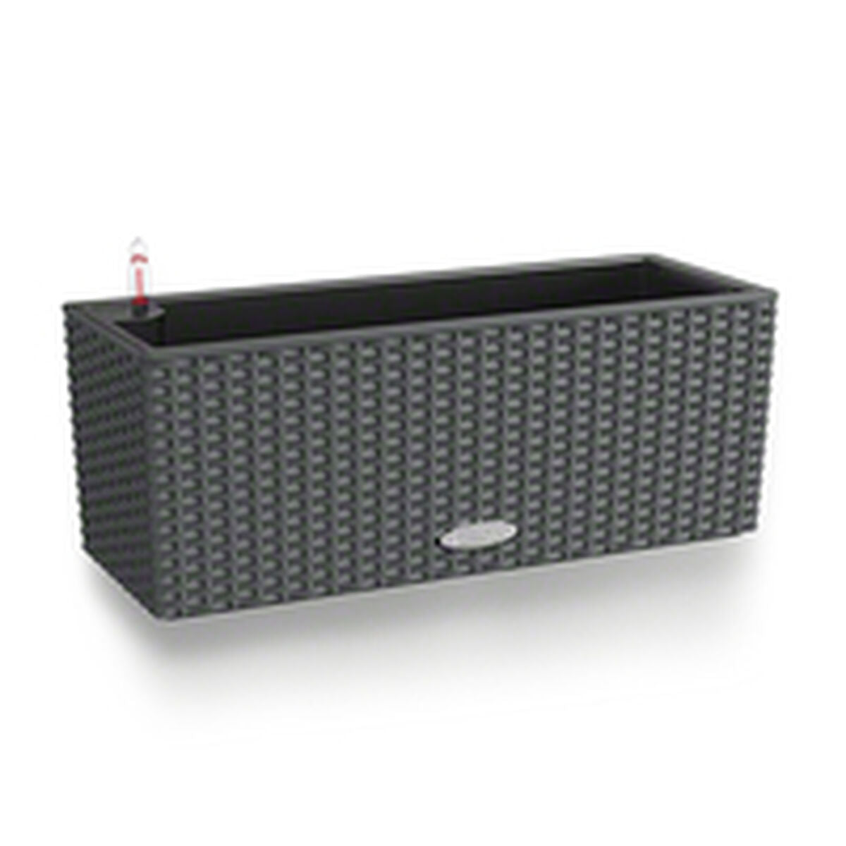 Texte alternatif de l'image