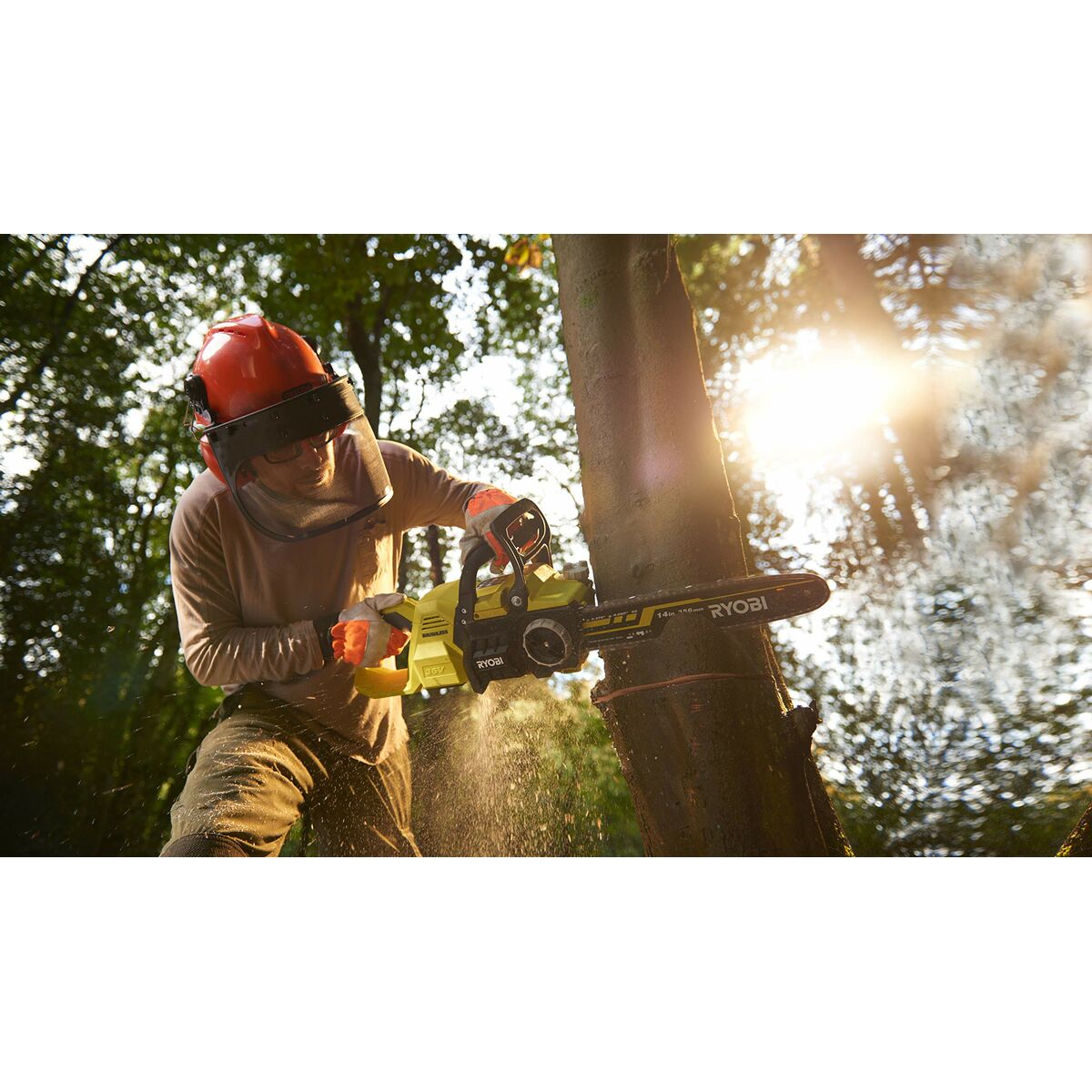 Texte alternatif de l'image