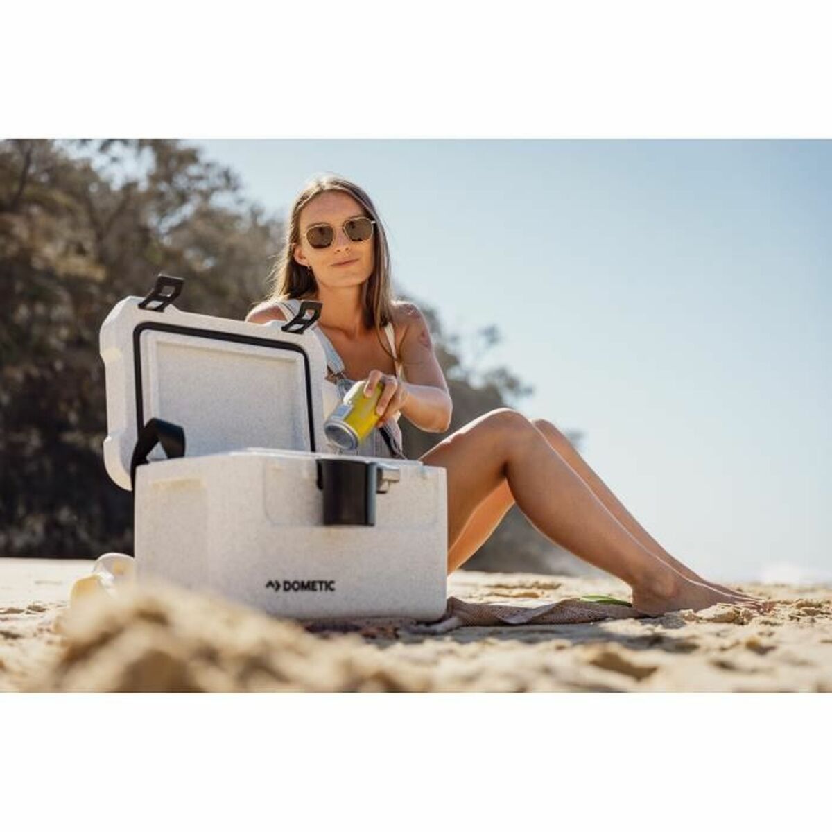 Texte alternatif de l'image