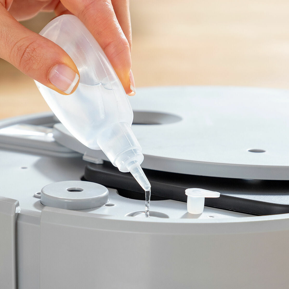 Texte alternatif de l'image