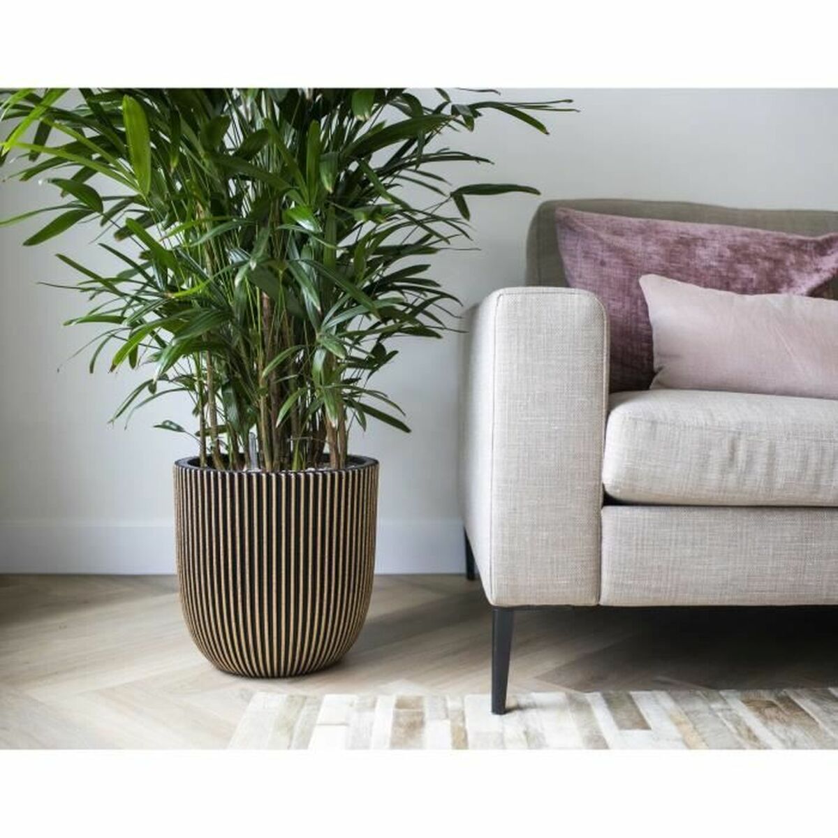 Texte alternatif de l'image