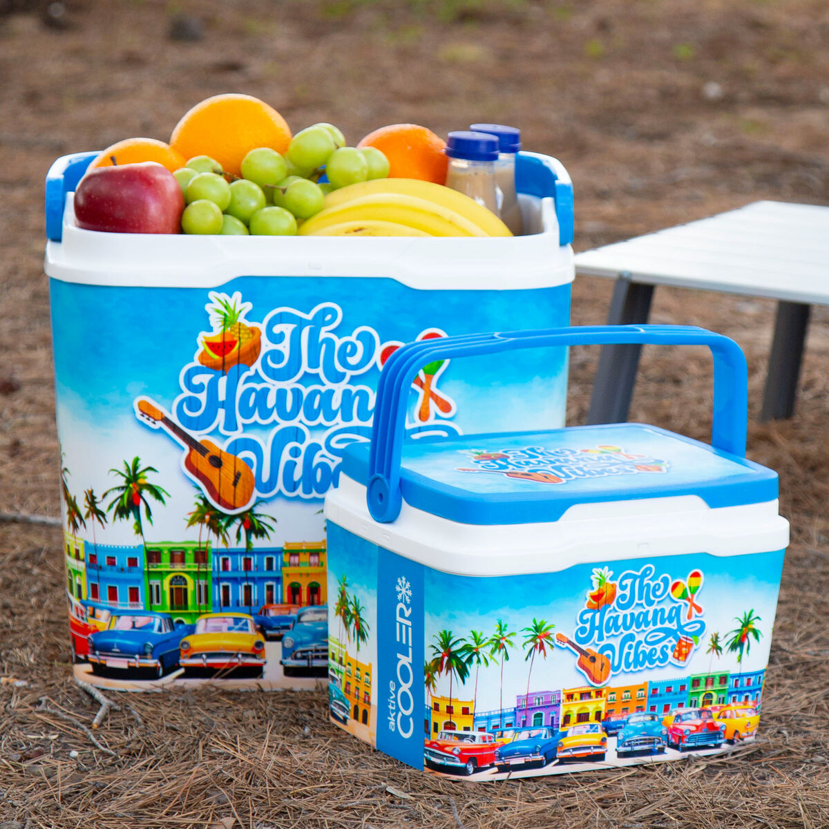 Texte alternatif de l'image