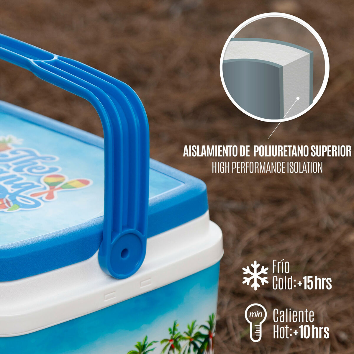 Texte alternatif de l'image