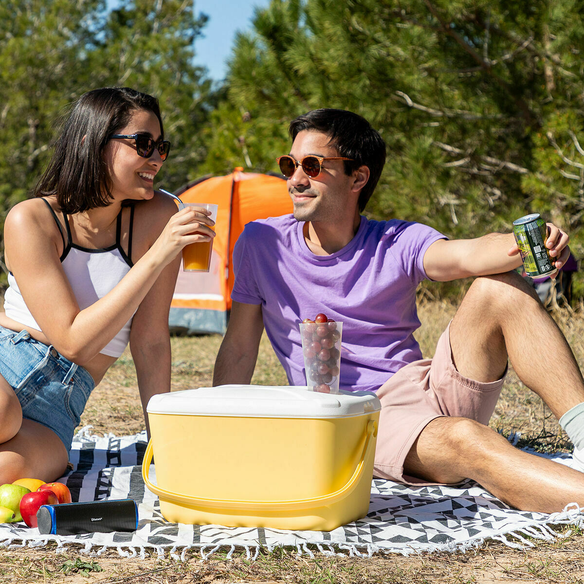 Texte alternatif de l'image